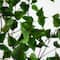 6ft. Potted Green Artificial Birch Tree with Real Touch Leaves